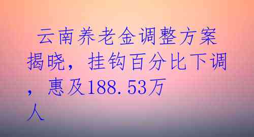 云南养老金调整方案揭晓,挂钩百分比下调,惠及188.53万人