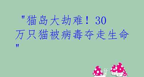 "猫岛大劫难!30万只猫被病毒夺走生命"