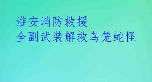 淮安消防救援 全副武装解救鸟笼蛇怪 