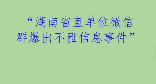  “湖南省直单位微信群爆出不雅信息事件”  