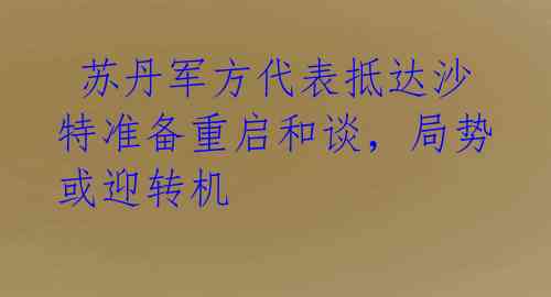苏丹军方代表抵达沙特准备重启和谈,局势或迎转机