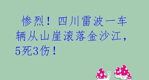  惨烈！四川雷波一车辆从山崖滚落金沙江，5死3伤！ 