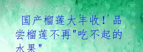 国产榴莲大丰收!品尝榴莲不再"吃不起的水果"