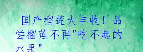  国产榴莲大丰收！品尝榴莲不再"吃不起的水果" 