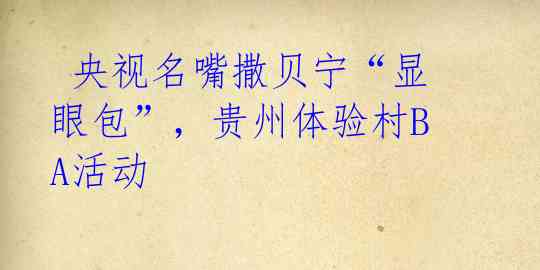 央视名嘴撒贝宁“显眼包”,贵州体验村BA活动