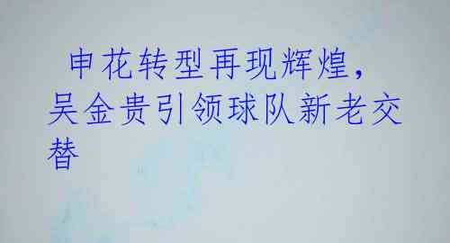 申花转型再现辉煌,吴金贵引领球队新老交替