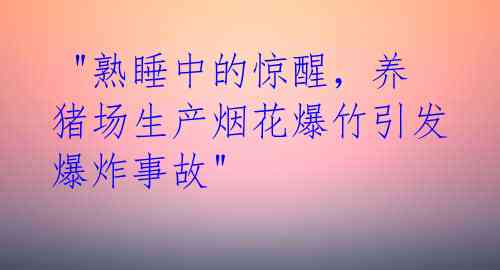  "熟睡中的惊醒，养猪场生产烟花爆竹引发爆炸事故" 