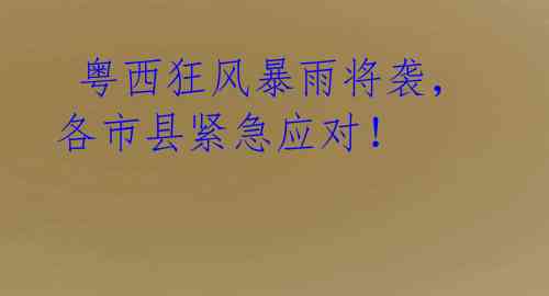 粤西狂风暴雨将袭,各市县紧急应对!