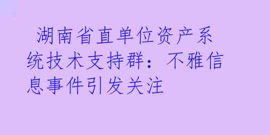  湖南省直单位资产系统技术支持群：不雅信息事件引发关注 