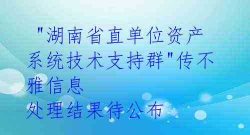 "湖南省直单位资产系统技术支持群"传不雅信息 处理结果待公布
