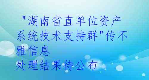  "湖南省直单位资产系统技术支持群"传不雅信息 处理结果待公布 