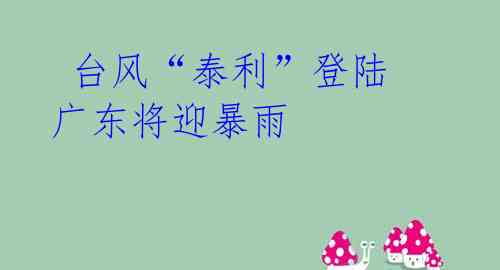 台风“泰利”登陆 广东将迎暴雨