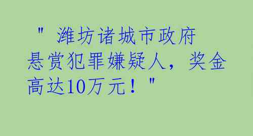 " 潍坊诸城市政府悬赏犯罪嫌疑人,奖金高达10万元!"