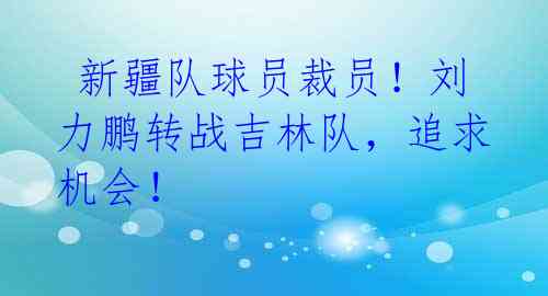 新疆队球员裁员!刘力鹏转战吉林队,追求机会!