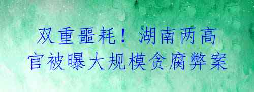 双重噩耗!湖南两高官被曝大规模贪腐弊案
