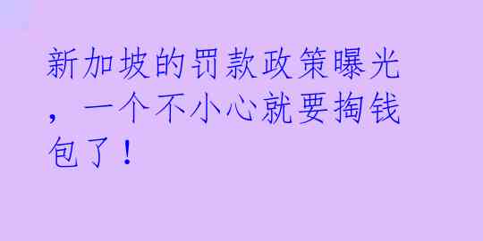 新加坡的罚款政策曝光，一个不小心就要掏钱包了！ 