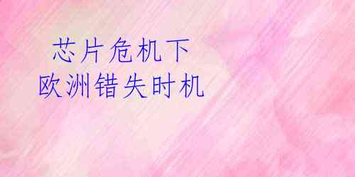 芯片危机下 欧洲错失时机