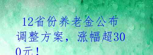  12省份养老金公布调整方案，涨幅超300元！ 