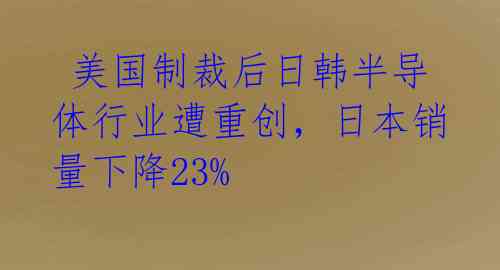 美国制裁后日韩半导体行业遭重创,日本销量下降23%