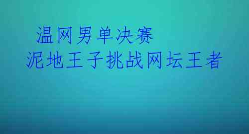  温网男单决赛 泥地王子挑战网坛王者 