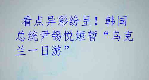 看点异彩纷呈!韩国总统尹锡悦短暂“乌克兰一日游”