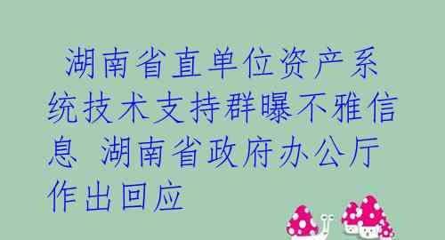 湖南省直单位资产系统技术支持群曝不雅信息 湖南省政府办公厅作出回应