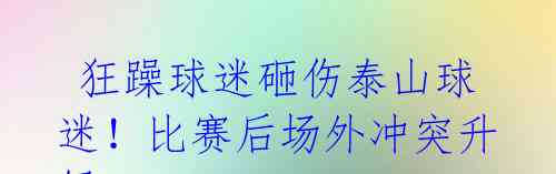 狂躁球迷砸伤泰山球迷!比赛后场外冲突升级