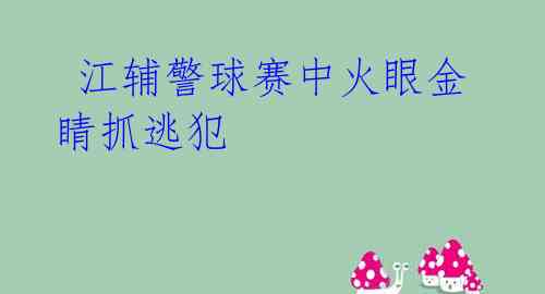  江辅警球赛中火眼金睛抓逃犯 