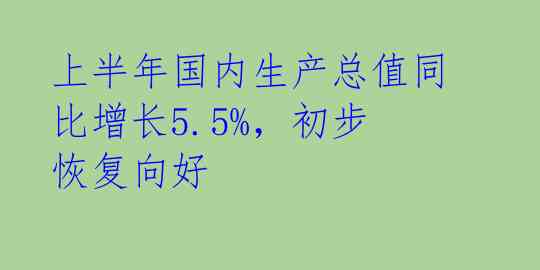 上半年国内生产总值同比增长5.5%，初步恢复向好 