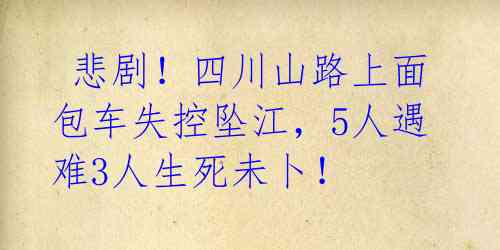  悲剧！四川山路上面包车失控坠江，5人遇难3人生死未卜！ 