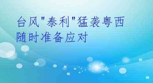 台风"泰利"猛袭粤西 随时准备应对