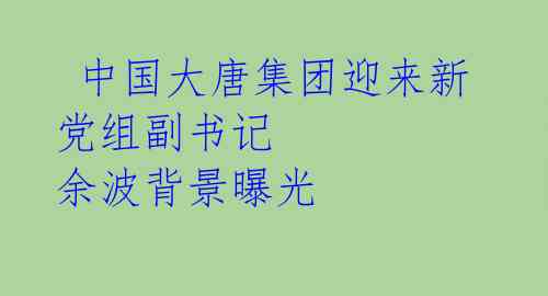  中国大唐集团迎来新党组副书记 余波背景曝光 