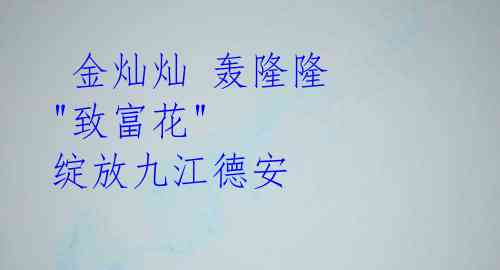 金灿灿 轰隆隆 "致富花" 绽放九江德安