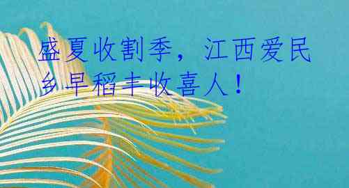 盛夏收割季,江西爱民乡早稻丰收喜人!