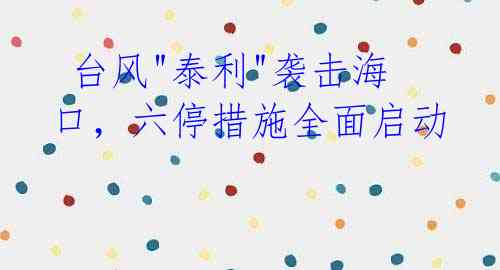 台风"泰利"袭击海口,六停措施全面启动