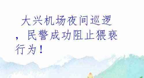 大兴机场夜间巡逻,民警成功阻止猥亵行为!