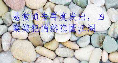 悬赏通告再度发出,凶案嫌犯悄然隐匿江湖