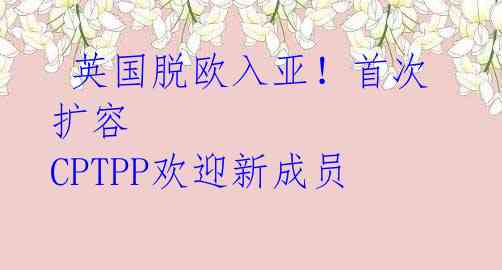 英国脱欧入亚!首次扩容 CPTPP欢迎新成员