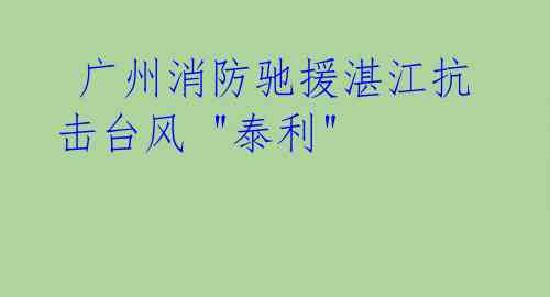 广州消防驰援湛江抗击台风 "泰利"