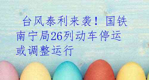 台风泰利来袭!国铁南宁局26列动车停运或调整运行