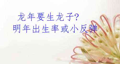 龙年要生龙子? 明年出生率或小反弹