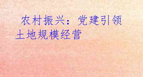 农村振兴:党建引领土地规模经营