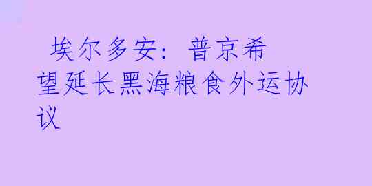  埃尔多安: 普京希望延长黑海粮食外运协议 