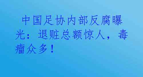  中国足协内部反腐曝光：退赃总额惊人，毒瘤众多！ 