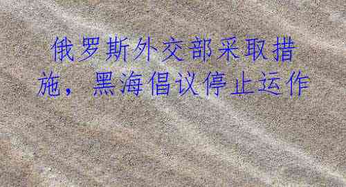 俄罗斯外交部采取措施,黑海倡议停止运作