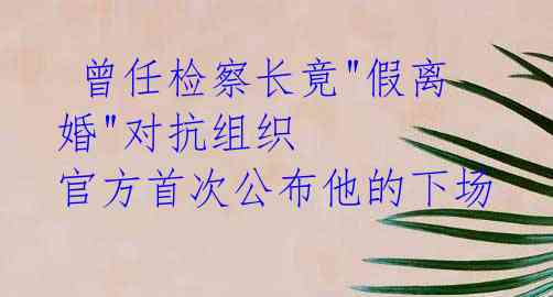  曾任检察长竟"假离婚"对抗组织 官方首次公布他的下场 