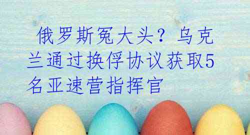 俄罗斯冤大头?乌克兰通过换俘协议获取5名亚速营指挥官