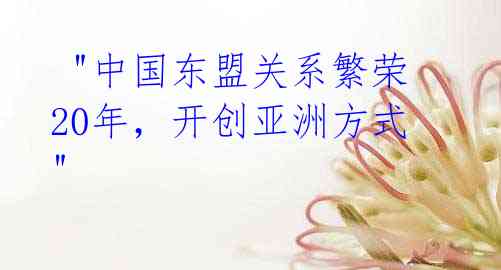 "中国东盟关系繁荣20年,开创亚洲方式"