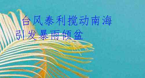 台风泰利搅动南海 引发暴雨倾盆