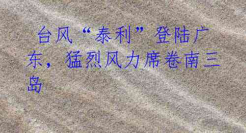 台风“泰利”登陆广东,猛烈风力席卷南三岛